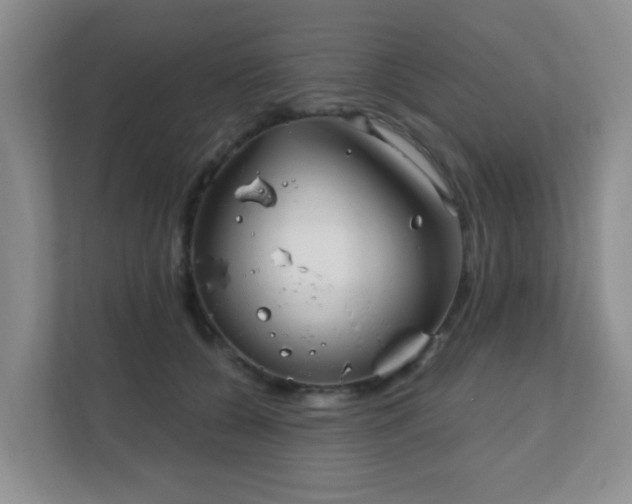 X0000112390560200908201544