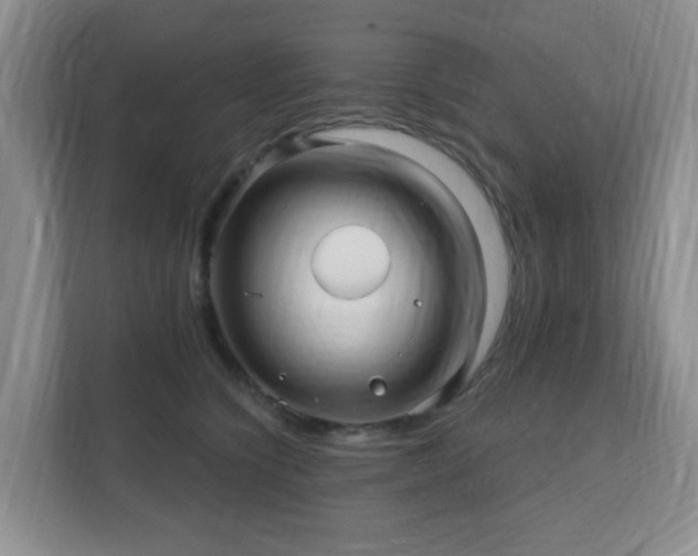 X0000112390564200908201544