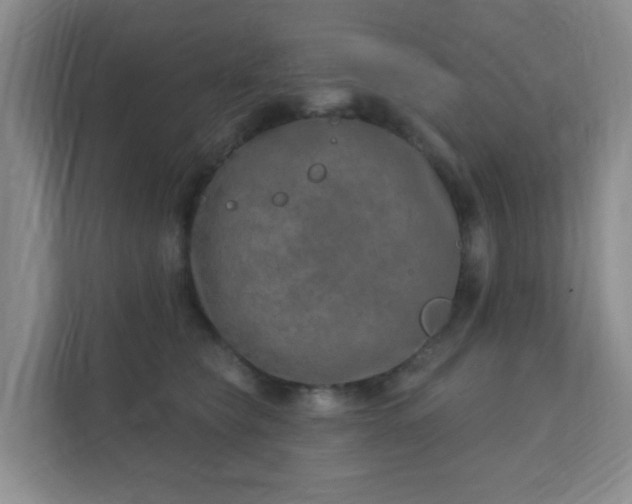 X0000112390565200908201544