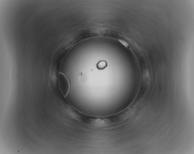 X0000112390566200908201544