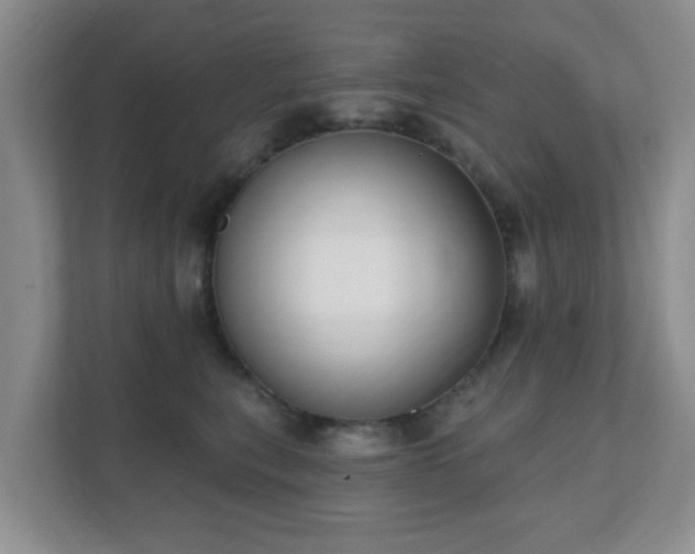 X0000112390567200908201544