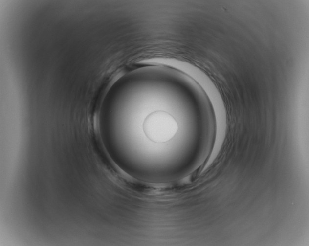 X0000112390568200908201544