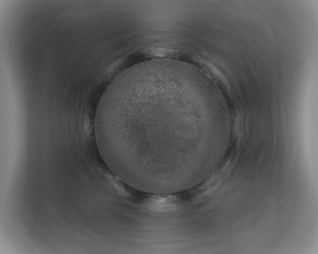 X0000112390569200908201544