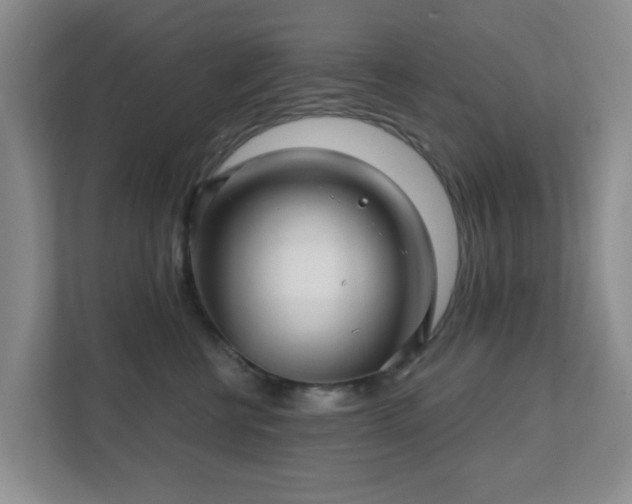 X0000112390570200908201544