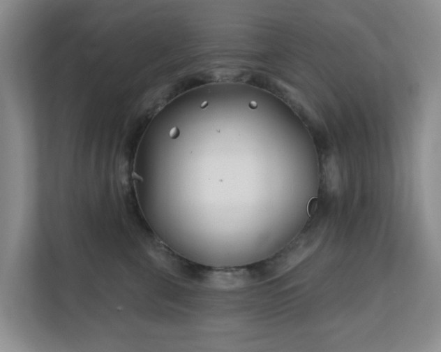 X0000112390571200908201544