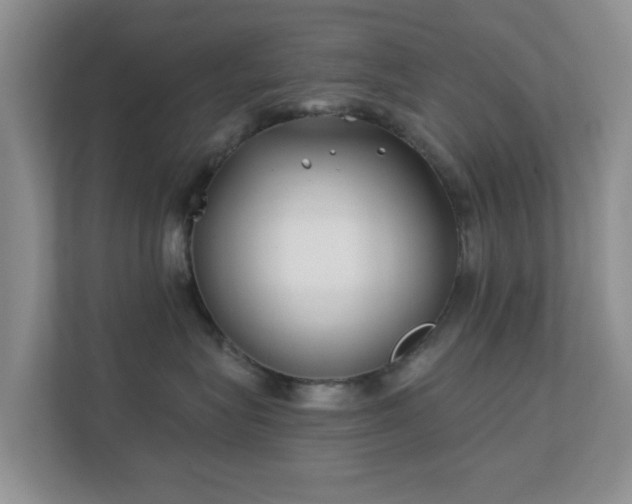 X0000112390575200908201544