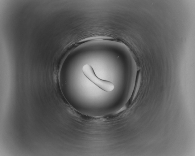 X0000112390576200908201545