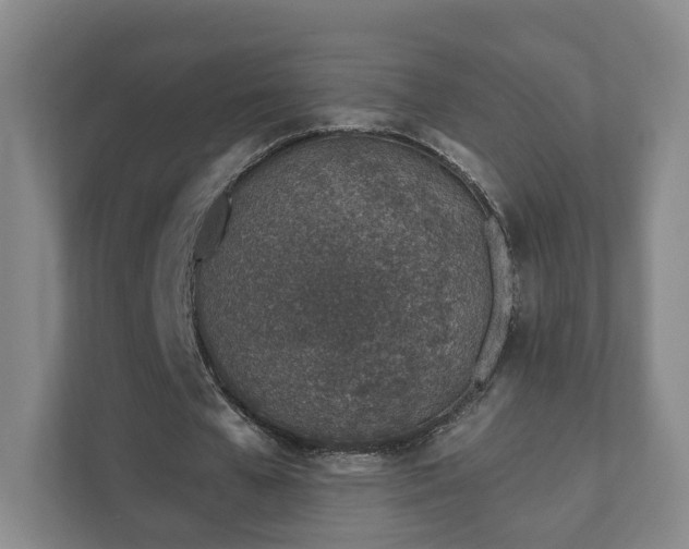 X0000112390577200908201544