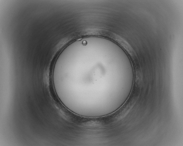 X0000112390578200908201544