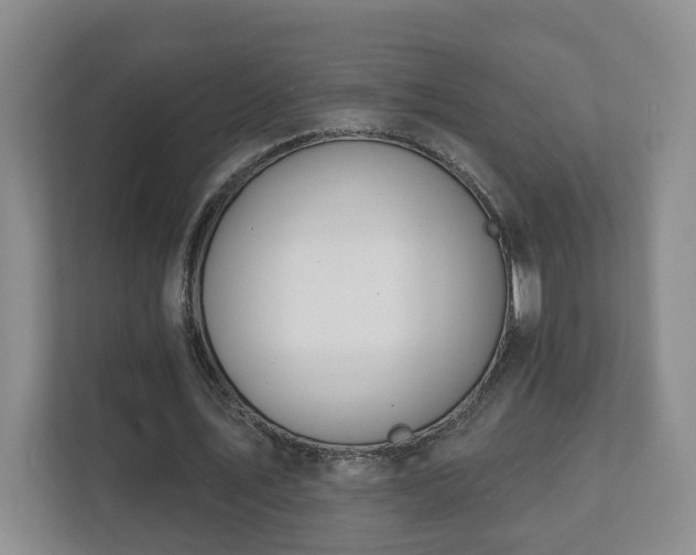 X0000112390579200908201544