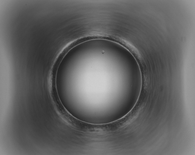 X0000112390580200908201544