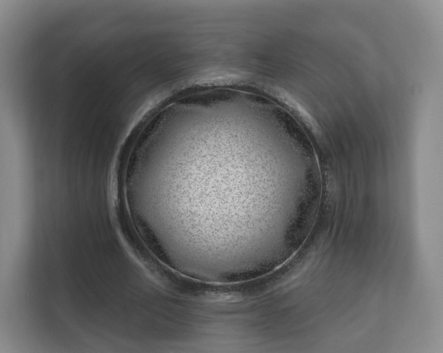 X0000112390582200908201544