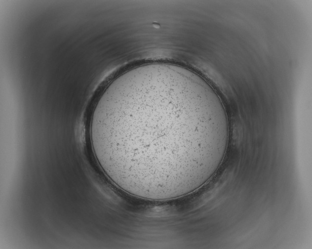 X0000112390584200908201544