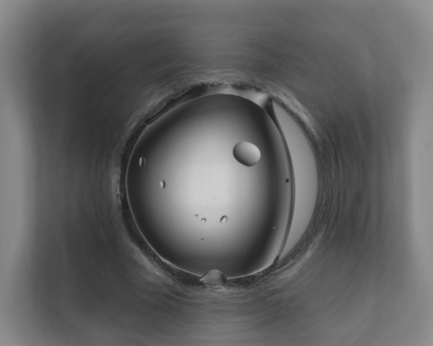 X0000112390585200908201544