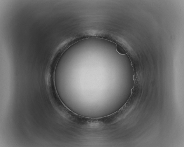 X0000112390587200908201544