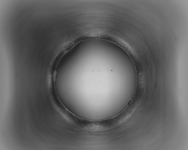 X0000112390589200908201544