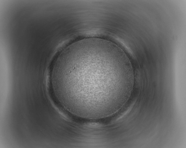 X0000112390590200908201544