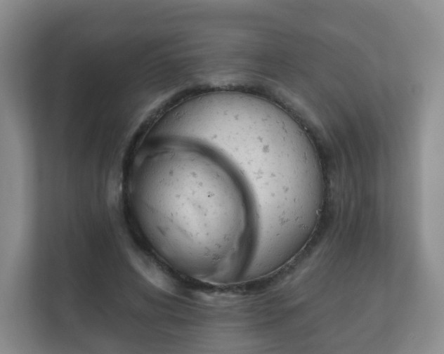 X0000112390592200908201544