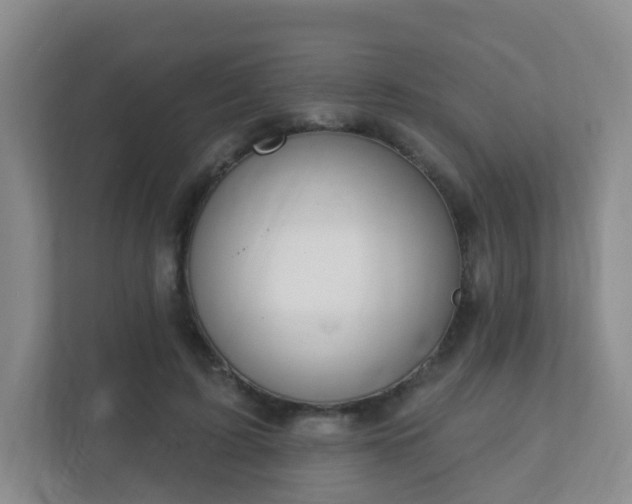 X0000112390595200908201544