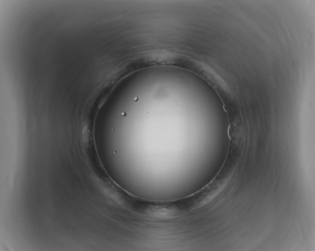 X0000112390597200908201544