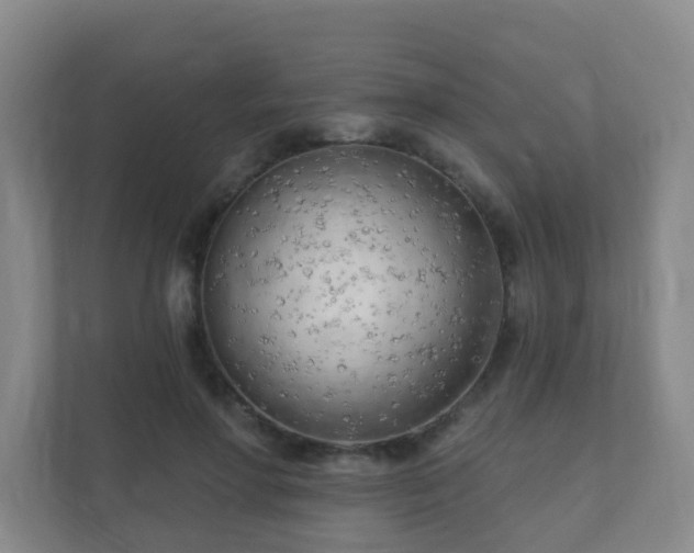 X0000112390598200908201544