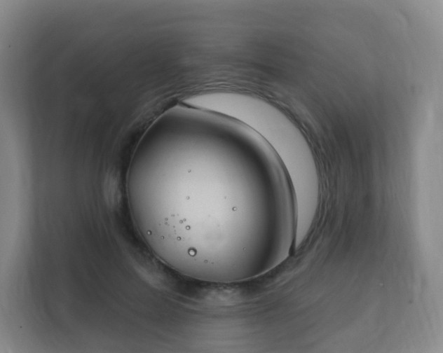 X0000112390599200908201544