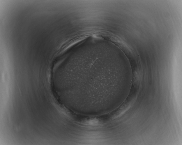 X0000112390600200908201544