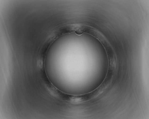 X0000112390602200908201544