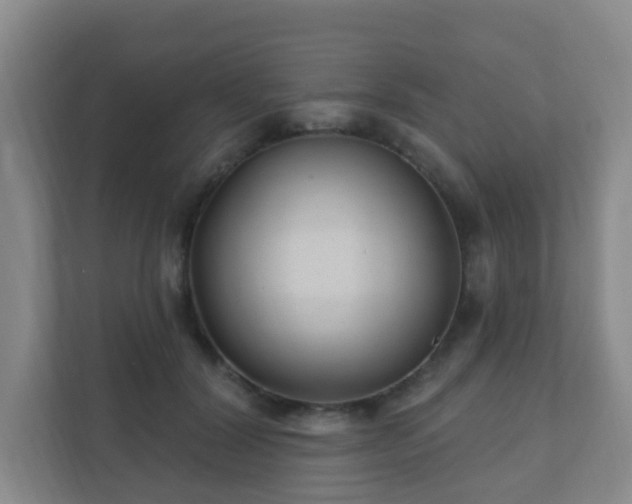 X0000112390604200908201544