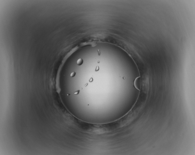 X0000112390608200908201543