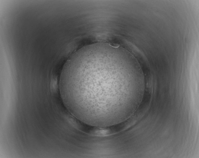 X0000112390610200908201543