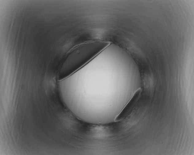 X0000112390611200908201543