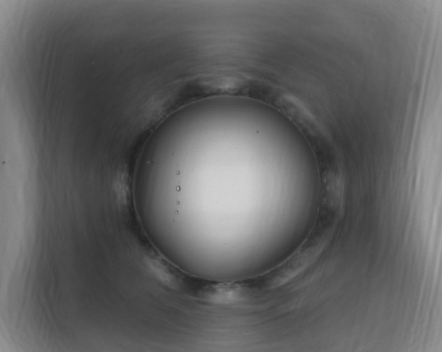 X0000112390612200908201543