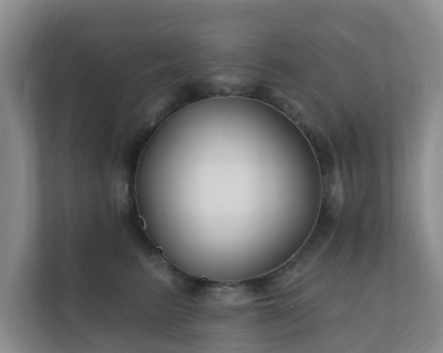 X0000112390615200908201543