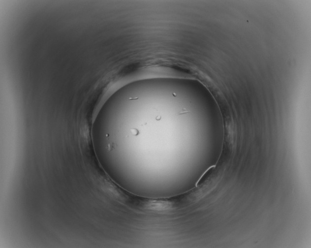 X0000112390617200908201543