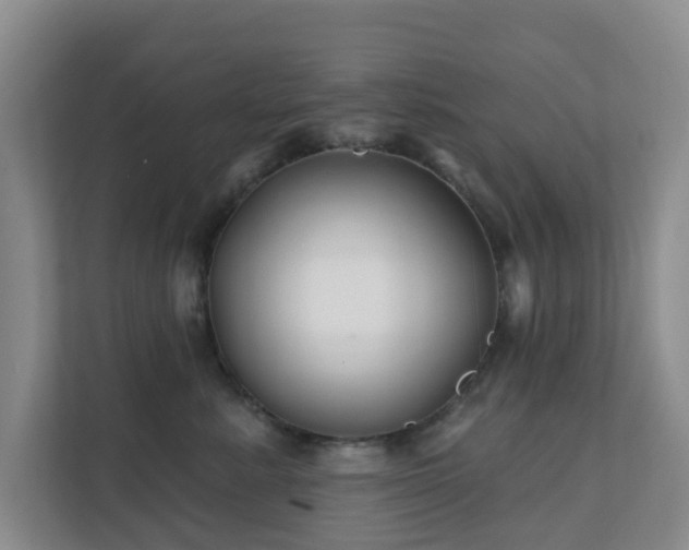 X0000112390619200908201543