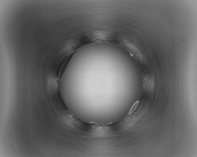 X0000112390621200908201543