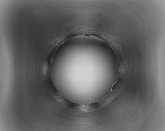 X0000112390623200908201543