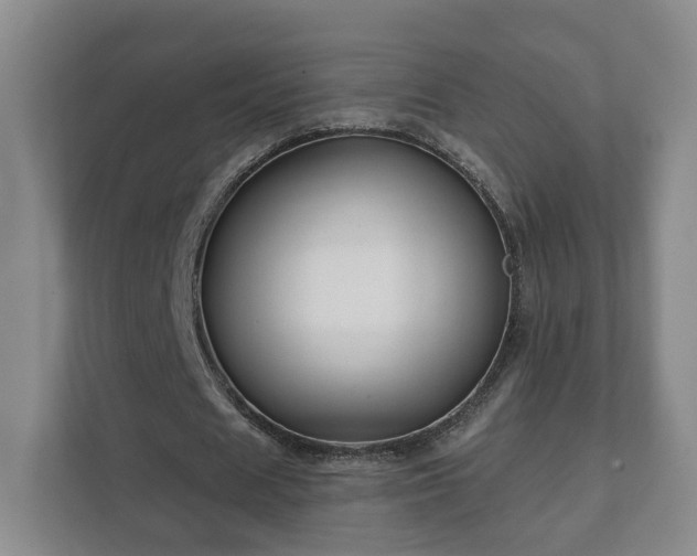 X0000112390625200908201543