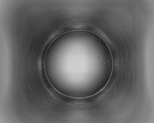 X0000112390626200908201543