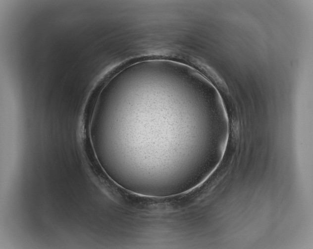 X0000112390628200908201543