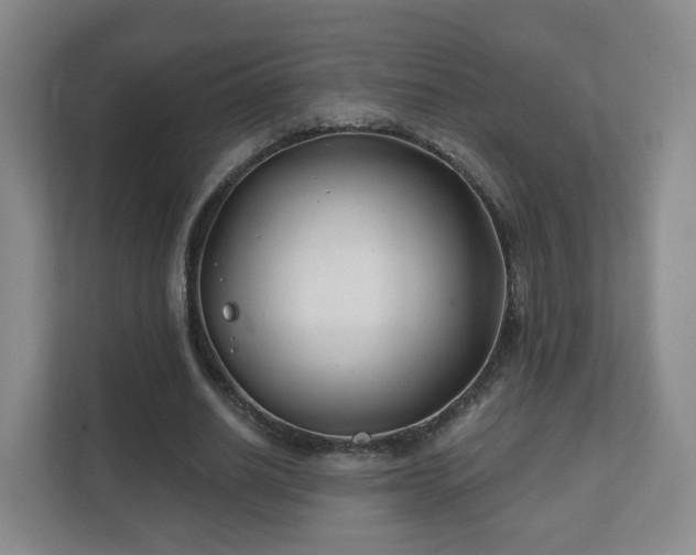 X0000112390630200908201543