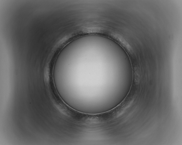 X0000112390631200908201543