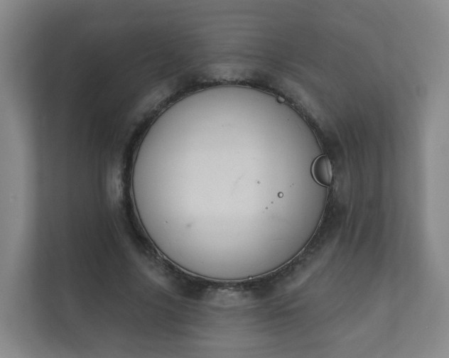 X0000112390635200908201543