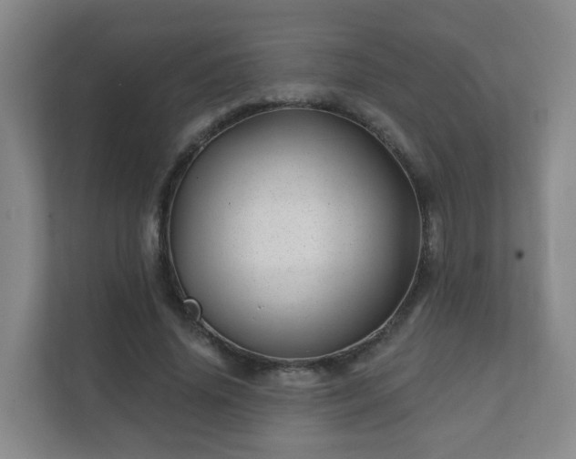 X0000112390636200908201543