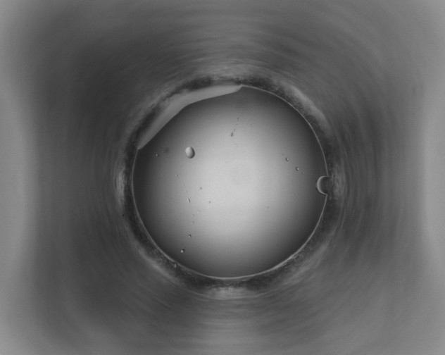 X0000112390637200908201543