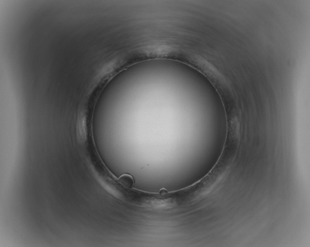 X0000112390638200908201543