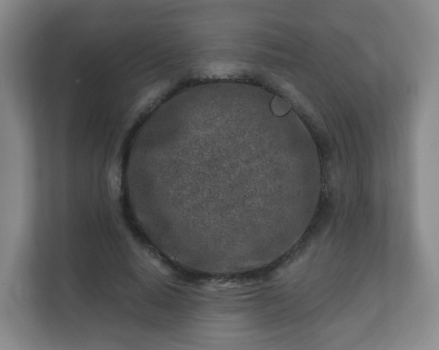 X0000112390640200908201543