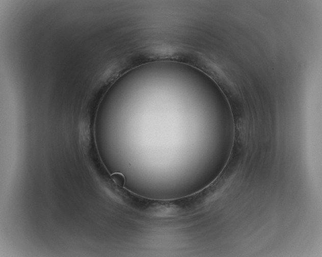 X0000112390642200908201543