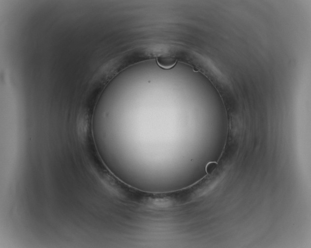 X0000112390645200908201543